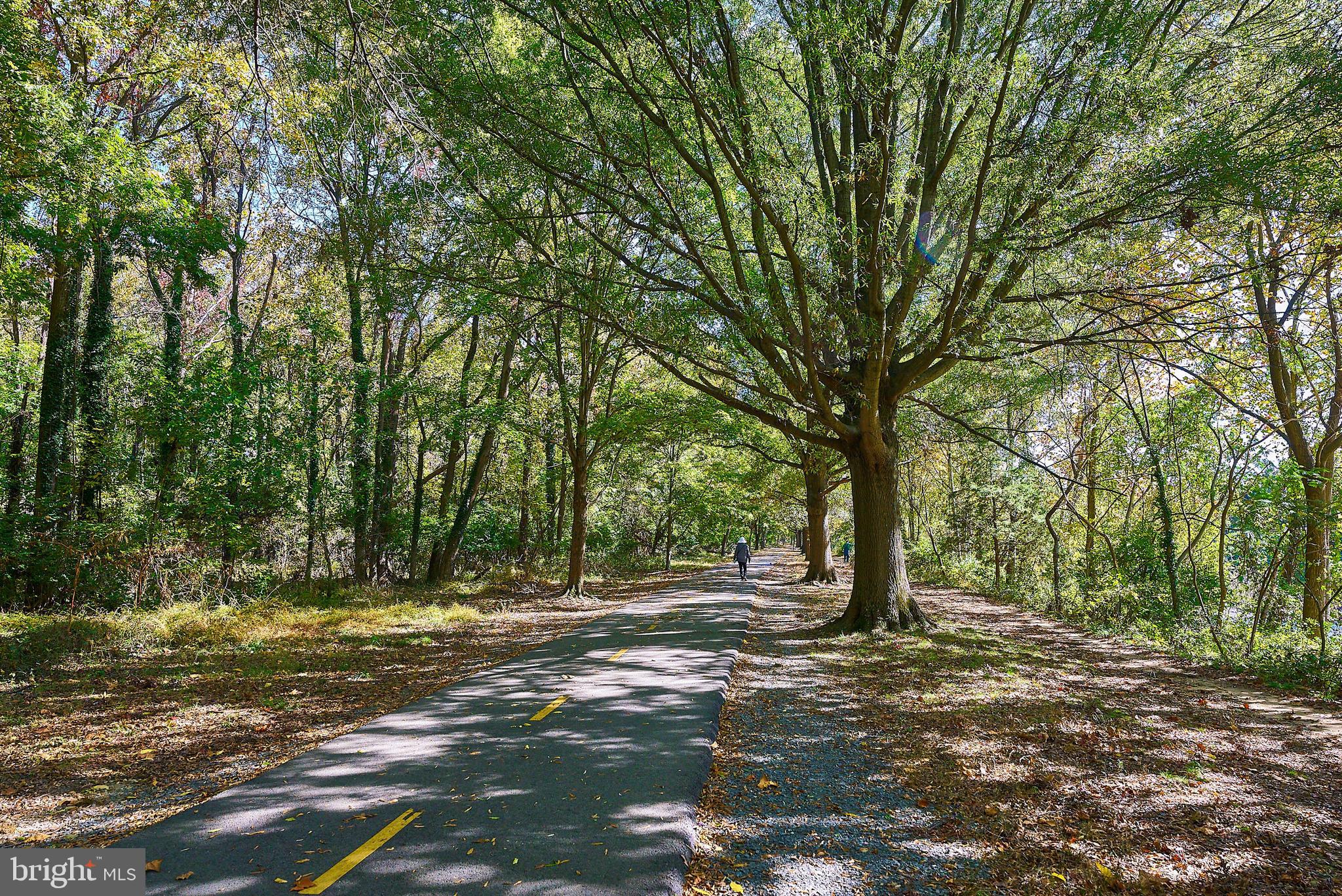 PAVILION ON THE PARK - Residential Lease