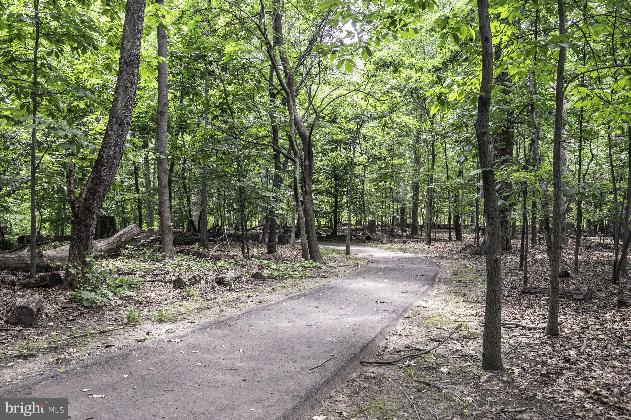 LAKEPOINTE - Residential