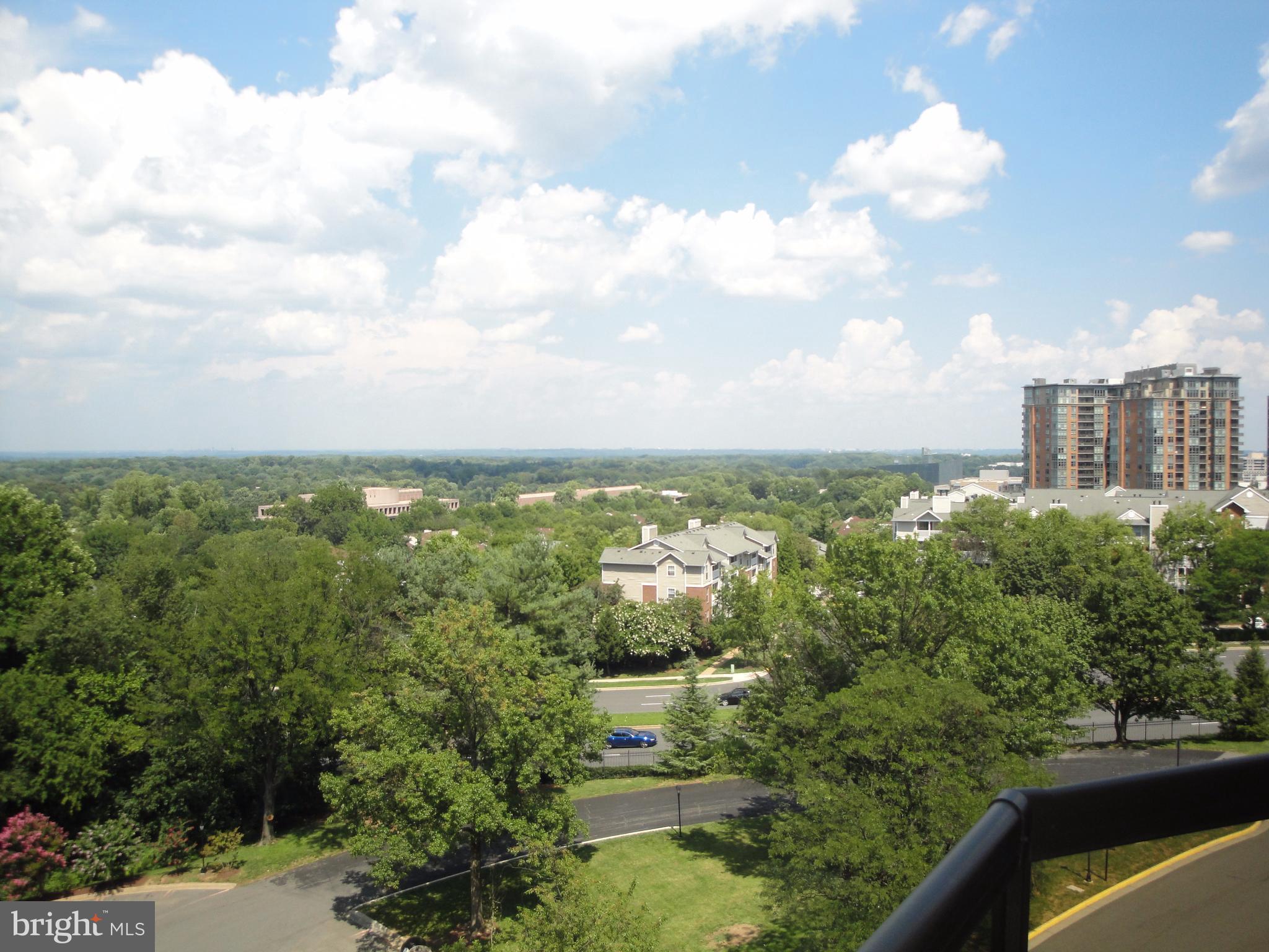 ROTONDA - Residential Lease