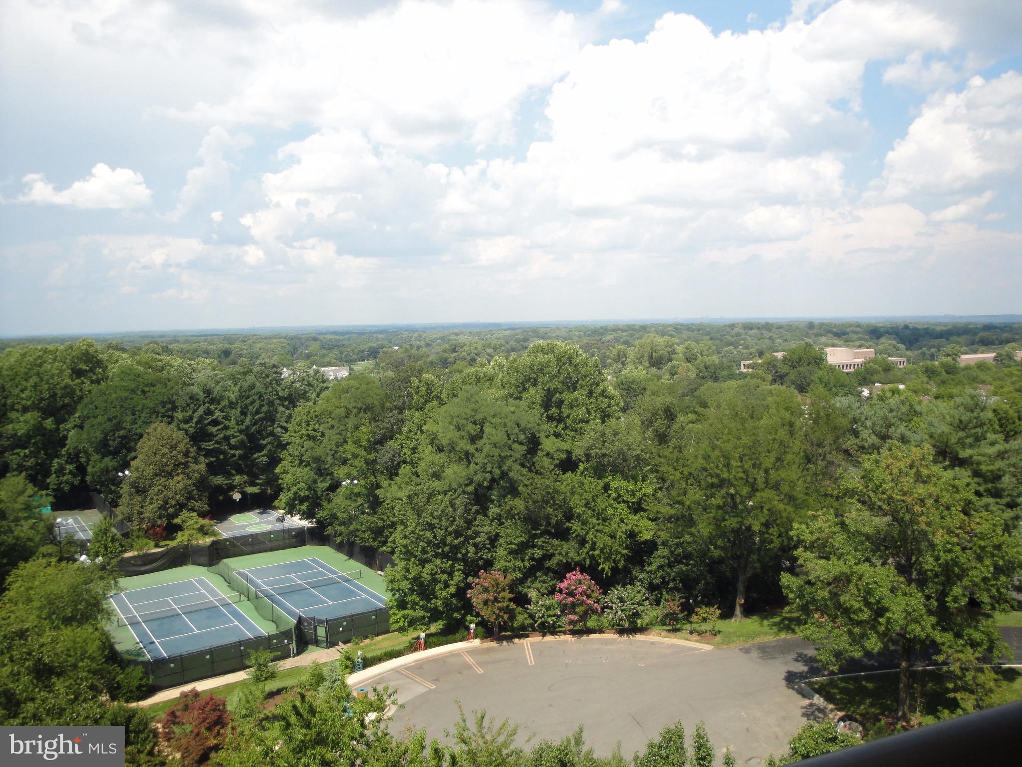 ROTONDA - Residential Lease