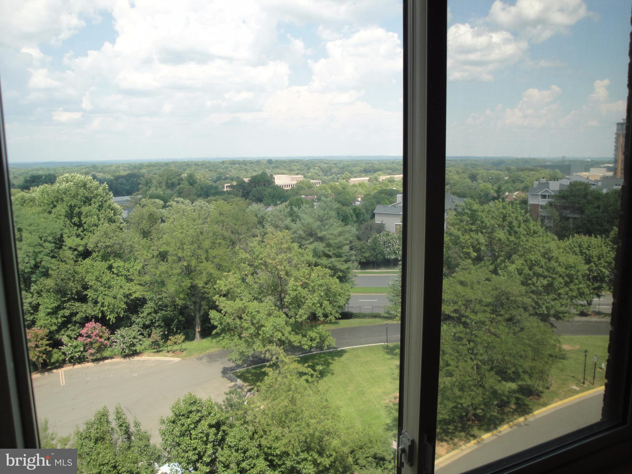 ROTONDA - Residential Lease