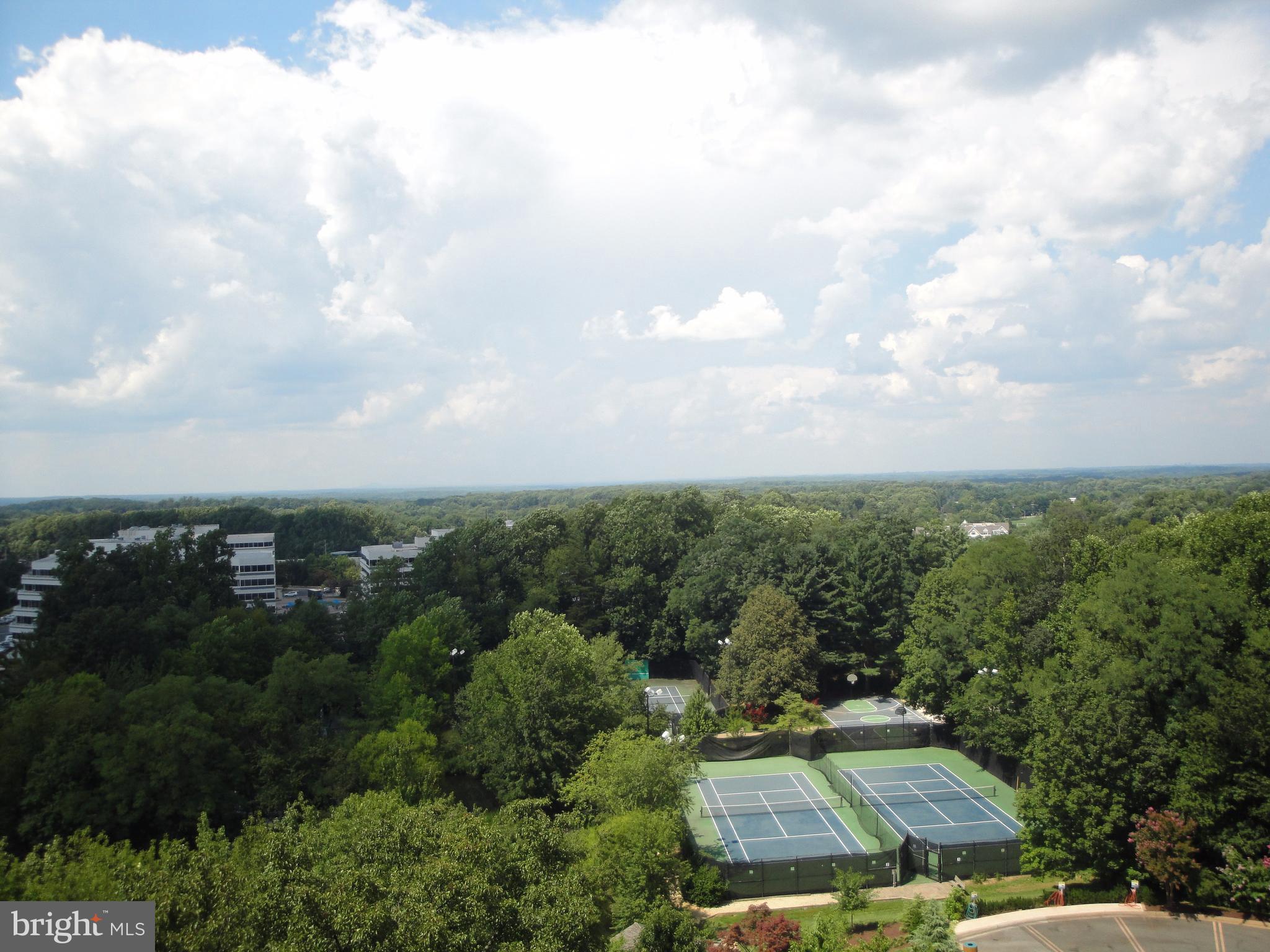 ROTONDA - Residential Lease