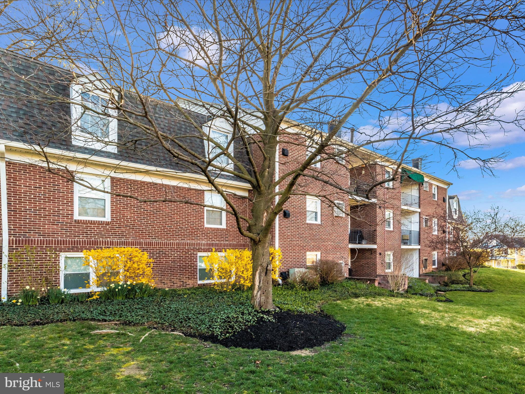 HOMELAND SOUTHWAY - Residential Lease