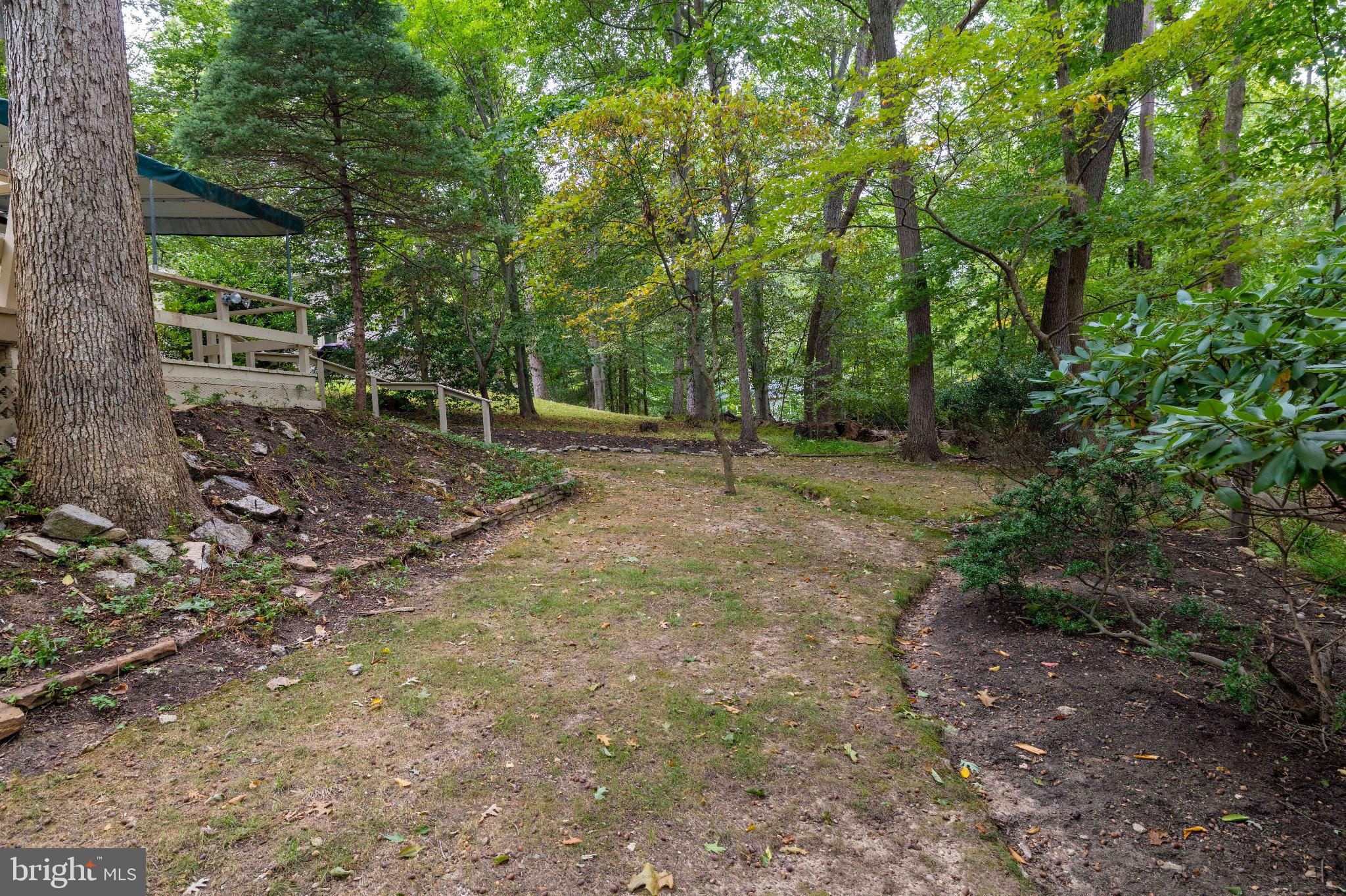 FRAZIER WOODS - Residential