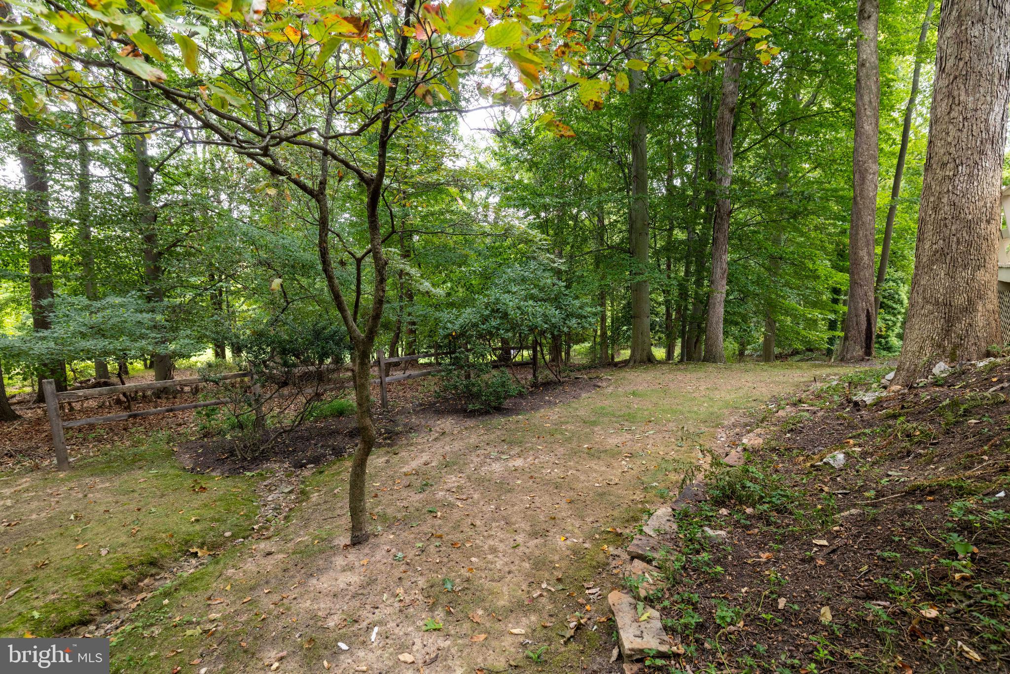 FRAZIER WOODS - Residential