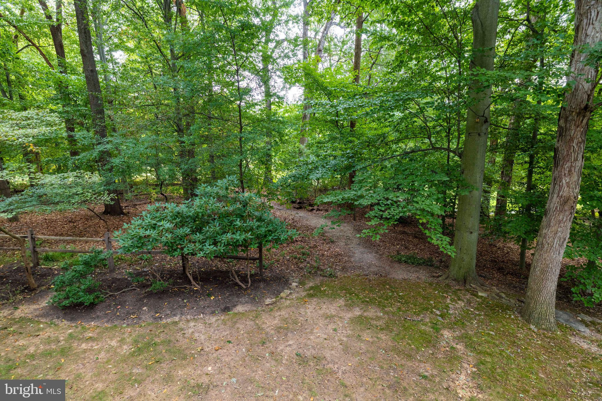 FRAZIER WOODS - Residential