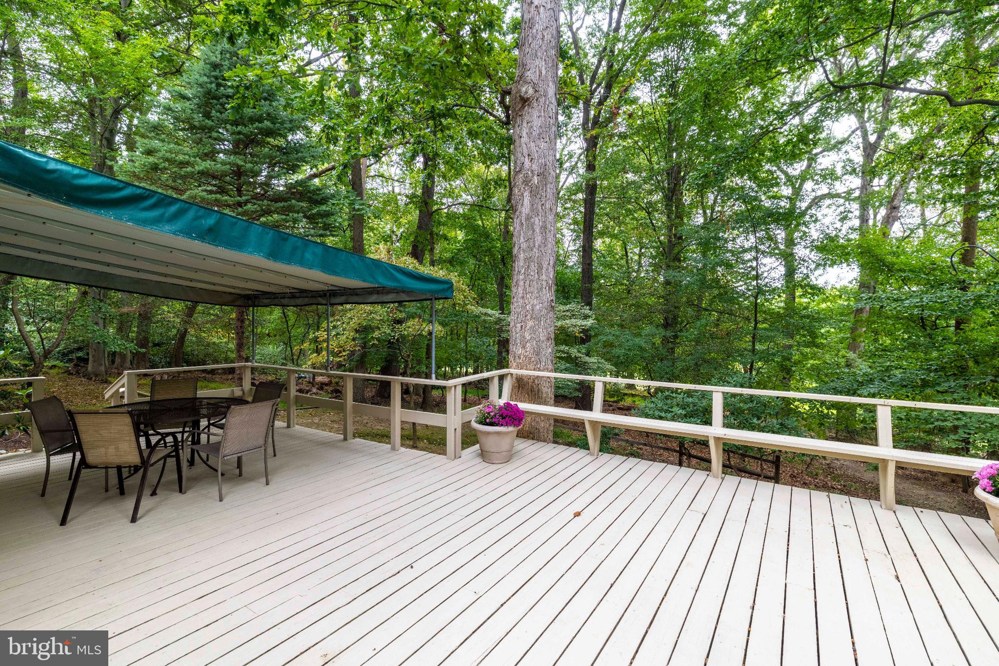 FRAZIER WOODS - Residential