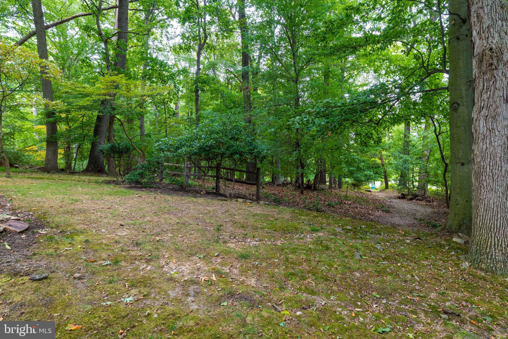 FRAZIER WOODS - Residential