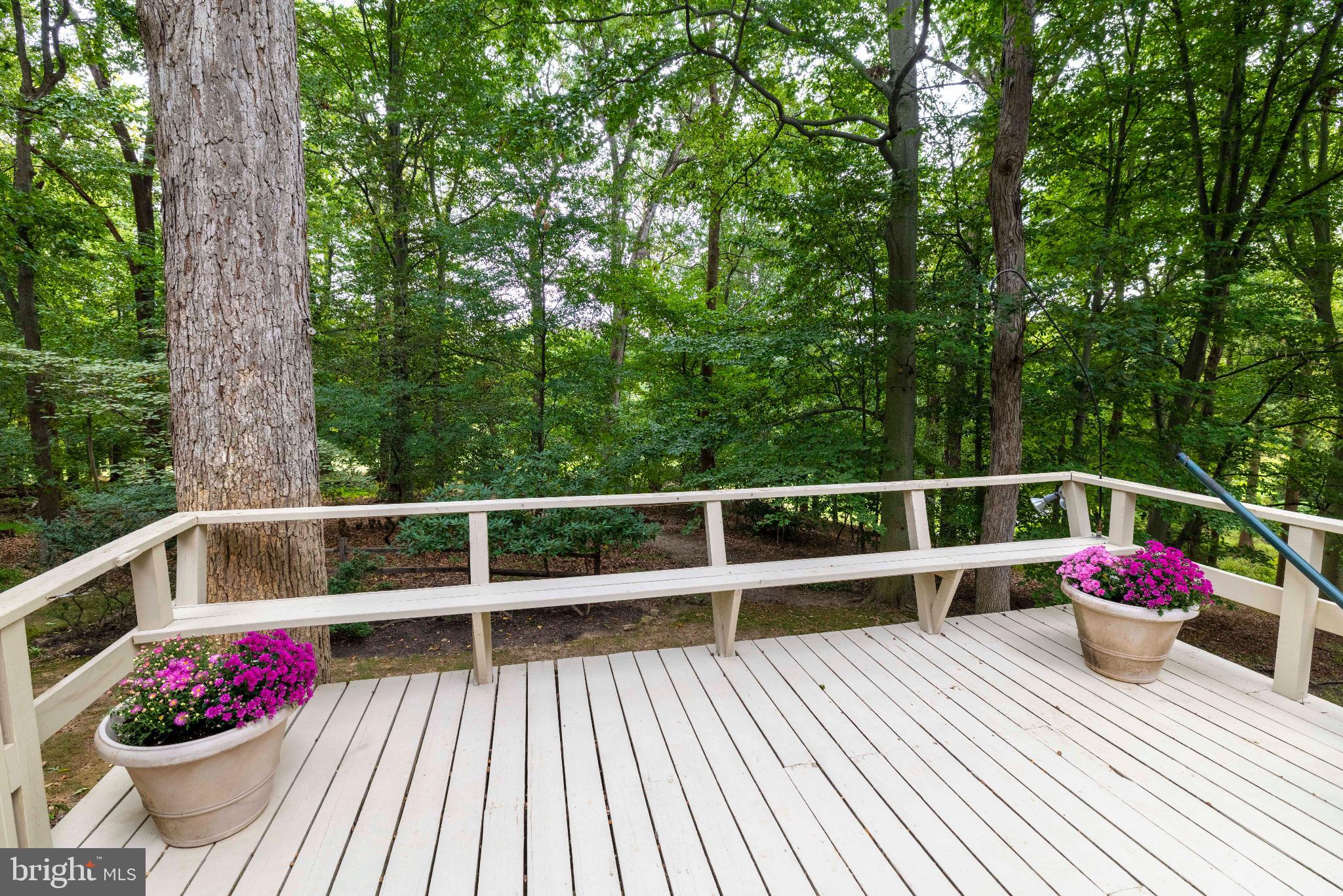 FRAZIER WOODS - Residential