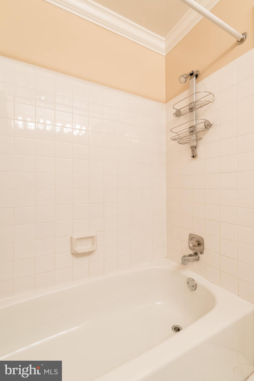 BALLSTON - Residential Lease