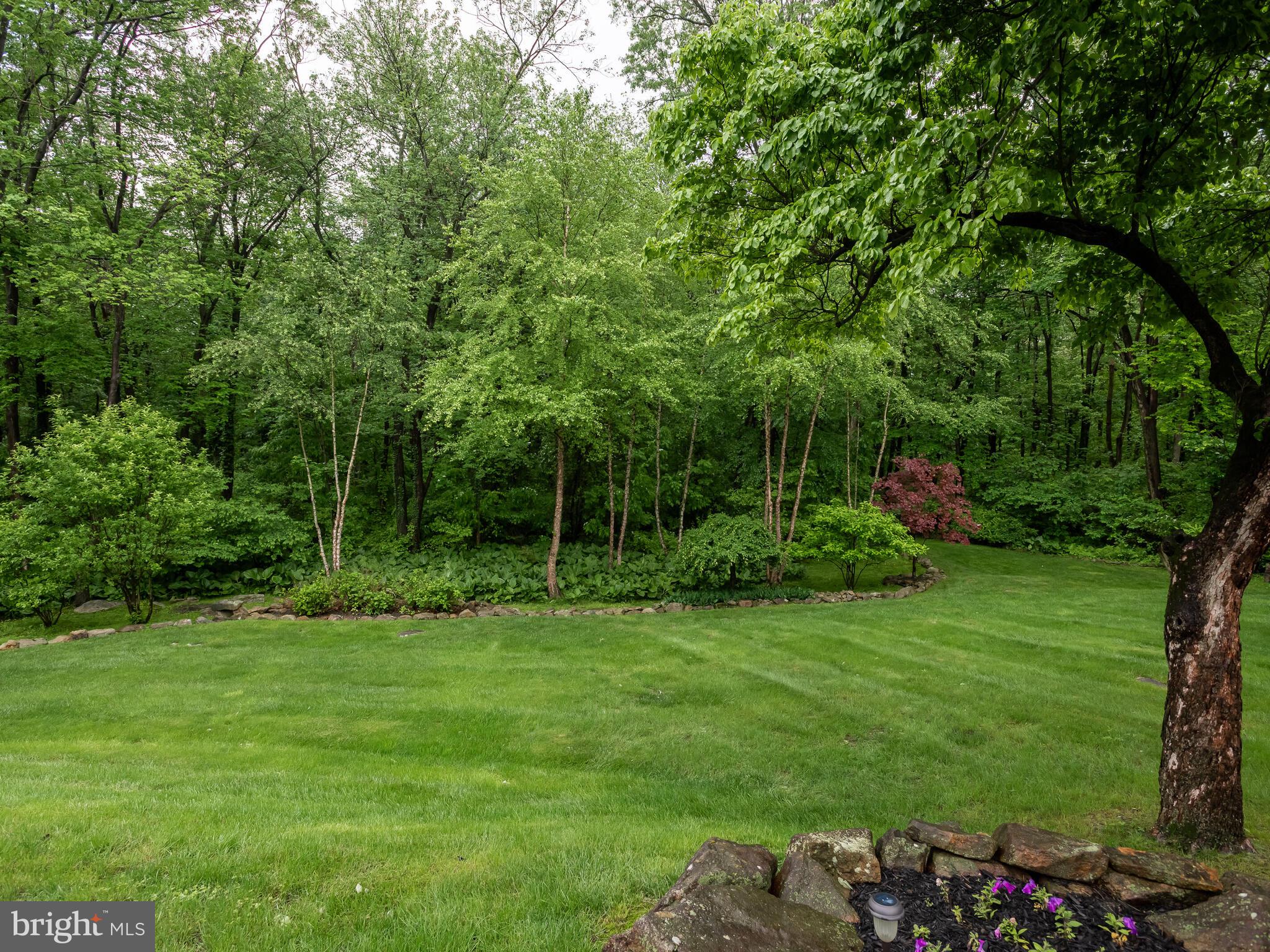 CHESTER SPRINGS - Residential