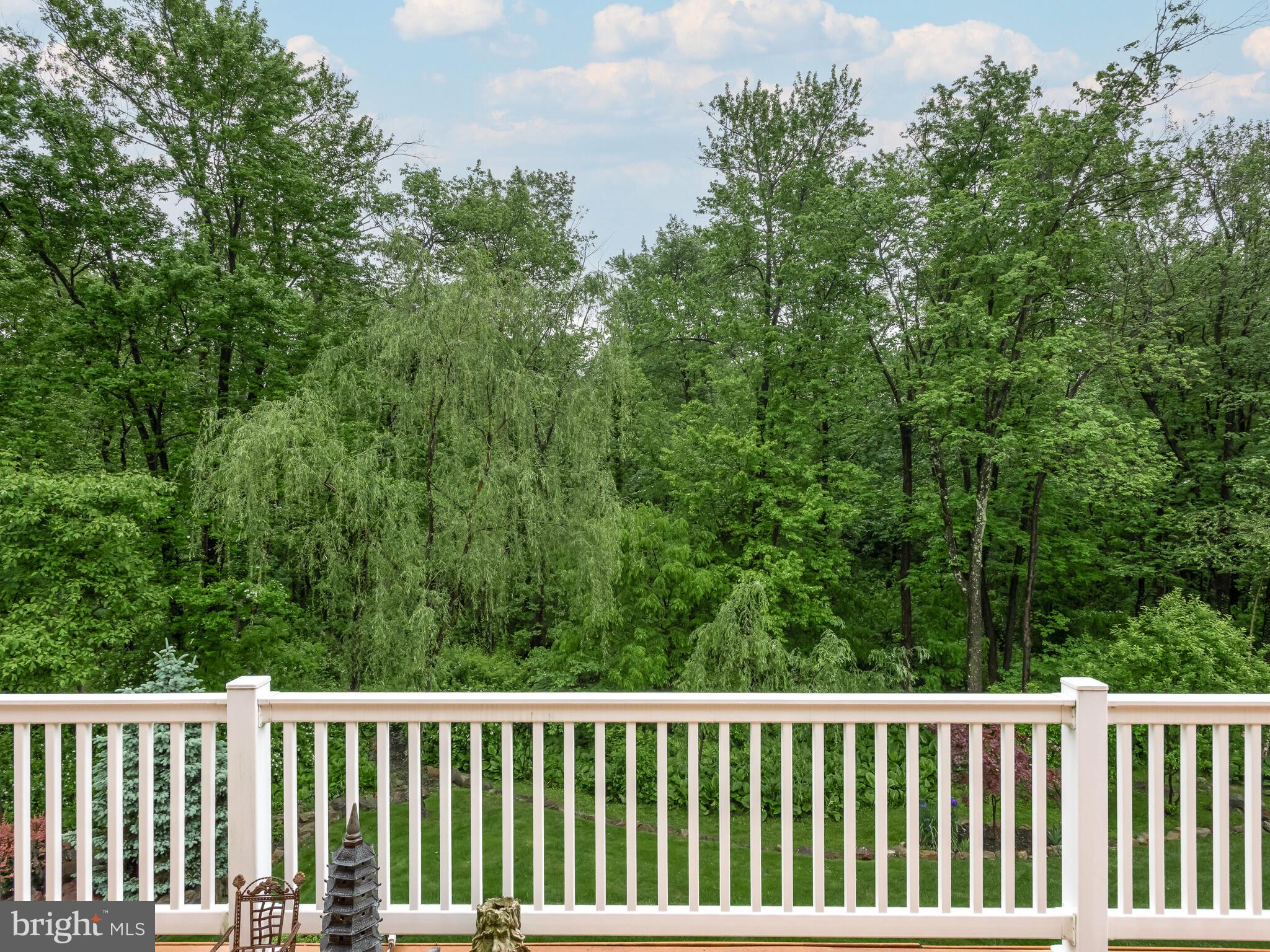 CHESTER SPRINGS - Residential