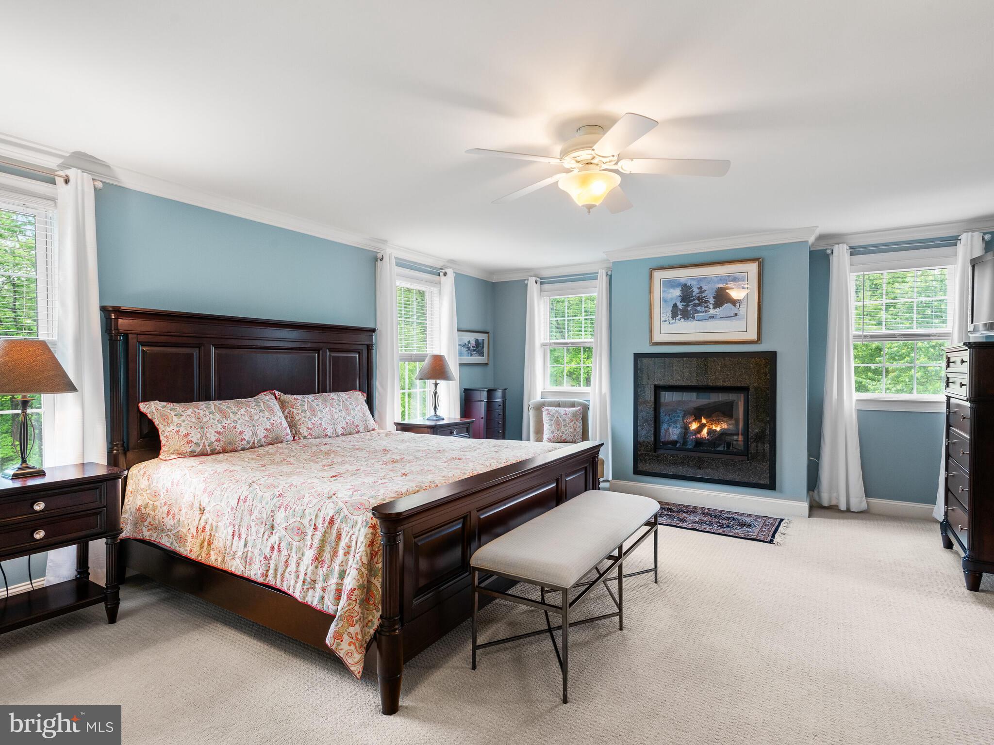 CHESTER SPRINGS - Residential