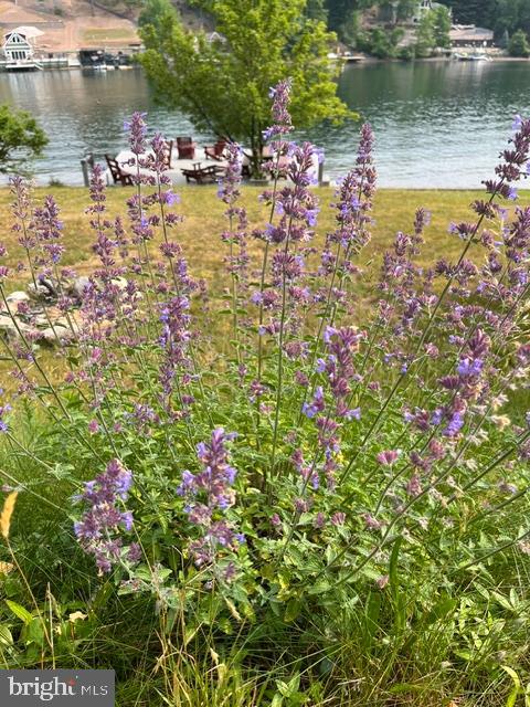 LAKE WYNONAH - Residential