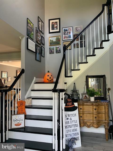 SUTTON WOODS - Residential