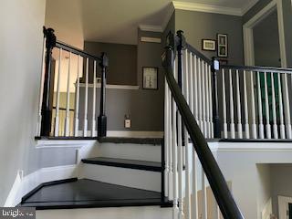 SUTTON WOODS - Residential