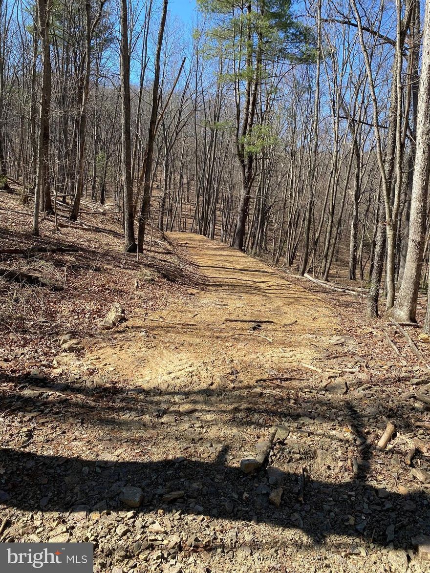 2.59 Acre wooded lot with some rural views. Suitable for your everyday escape or your weekend get away! New driveway recently cut in. Just over a mile across the Virginia/West Virginia line making it convenient to shops & stores in Mathias and just 20 minutes from Broadway.