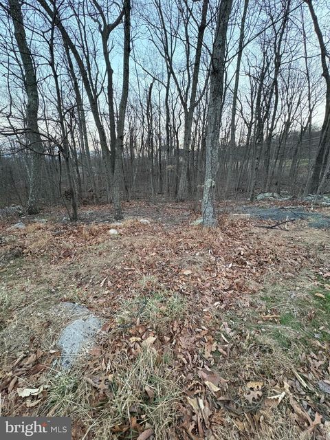 LOT 245 INCA TRAIL WINCHESTER VA 22602