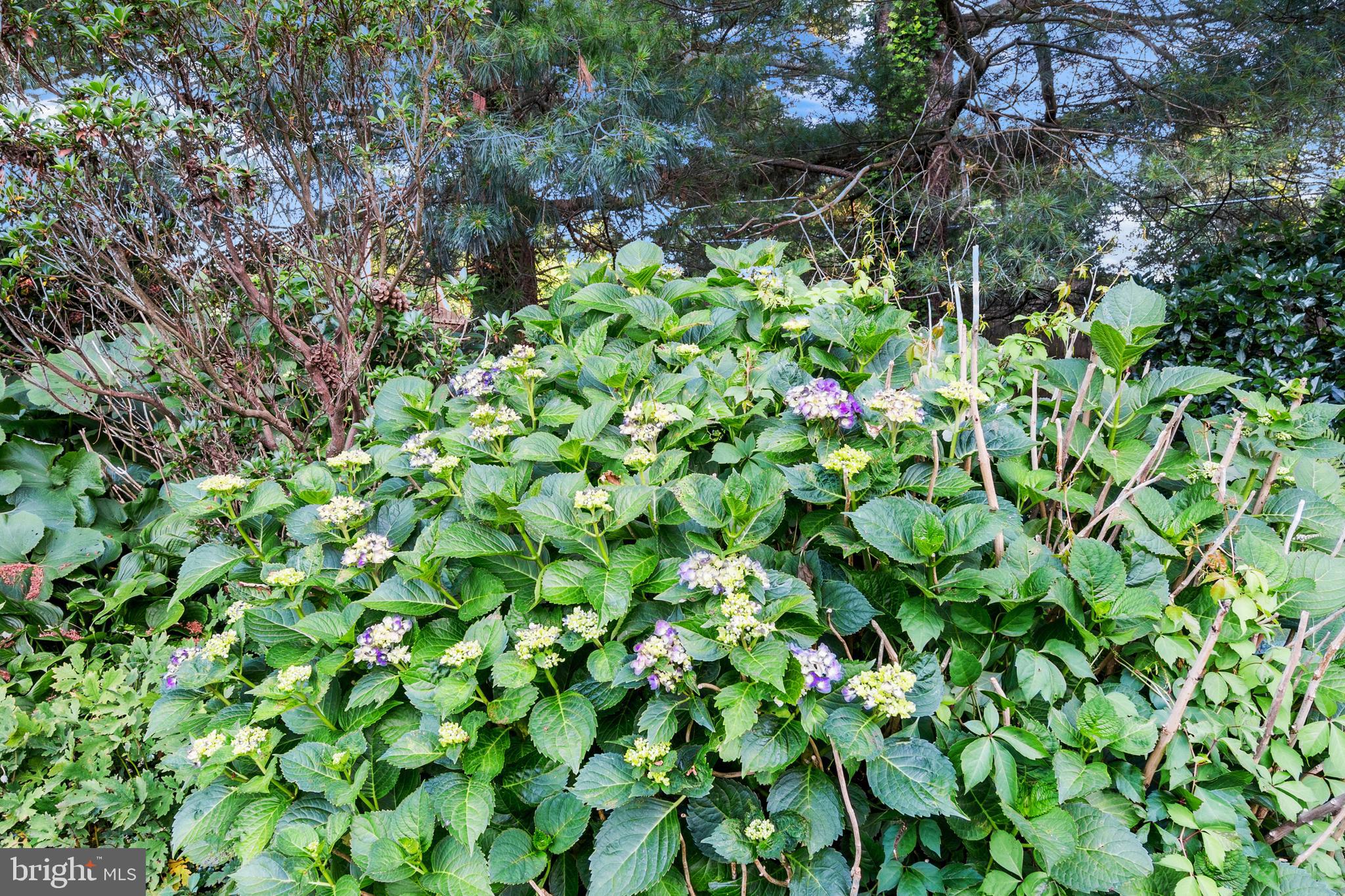 PLUMLY FARMS - Residential