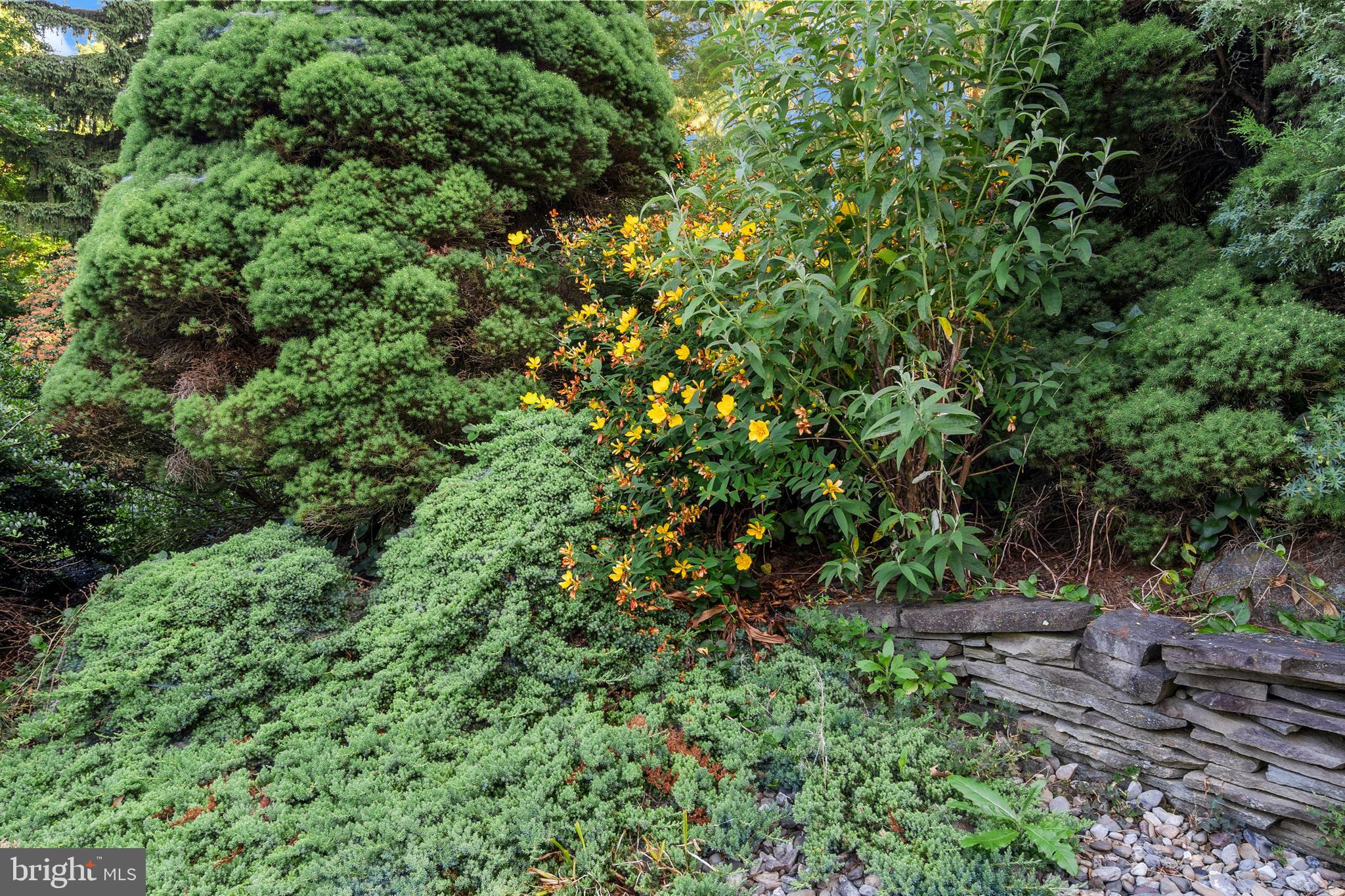 PLUMLY FARMS - Residential