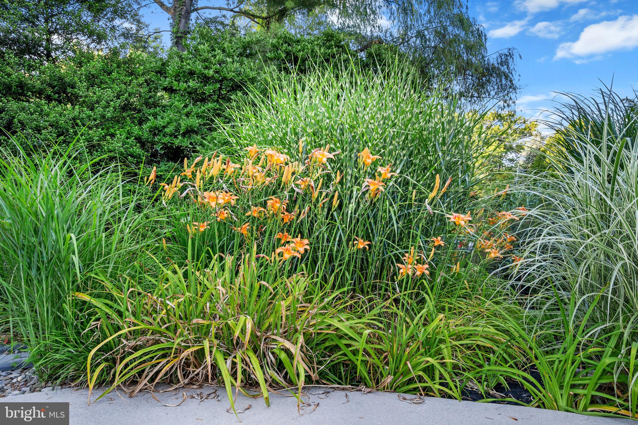 PLUMLY FARMS - Residential