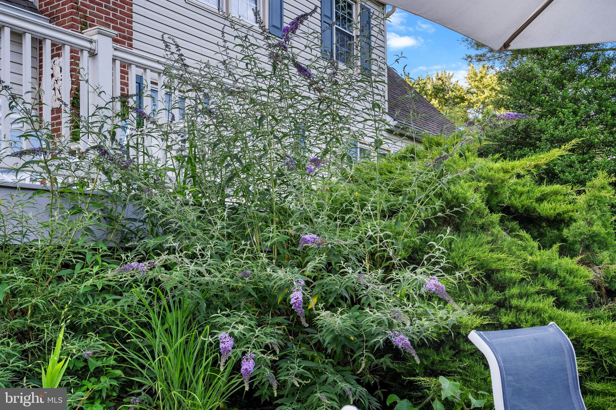 PLUMLY FARMS - Residential