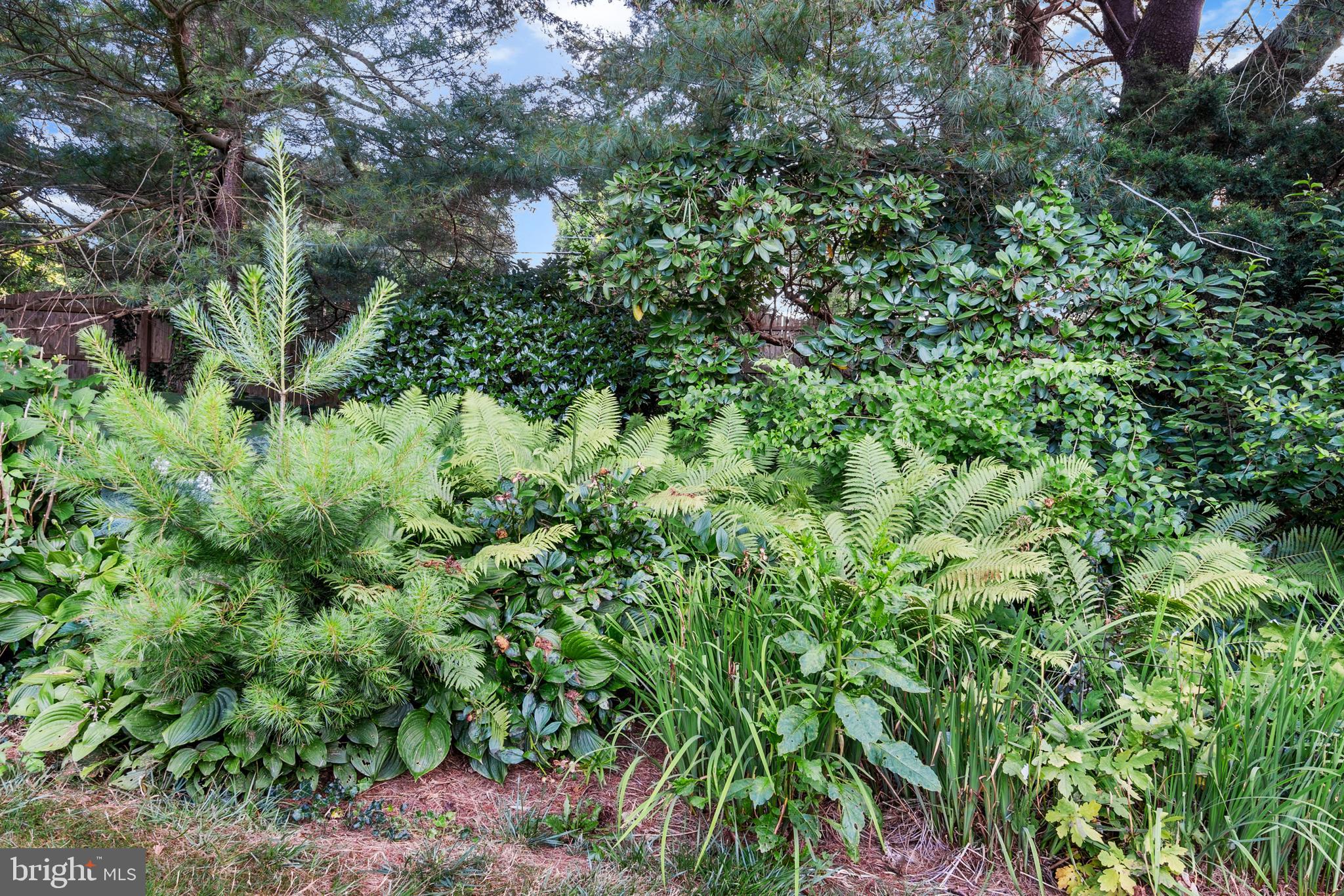 PLUMLY FARMS - Residential