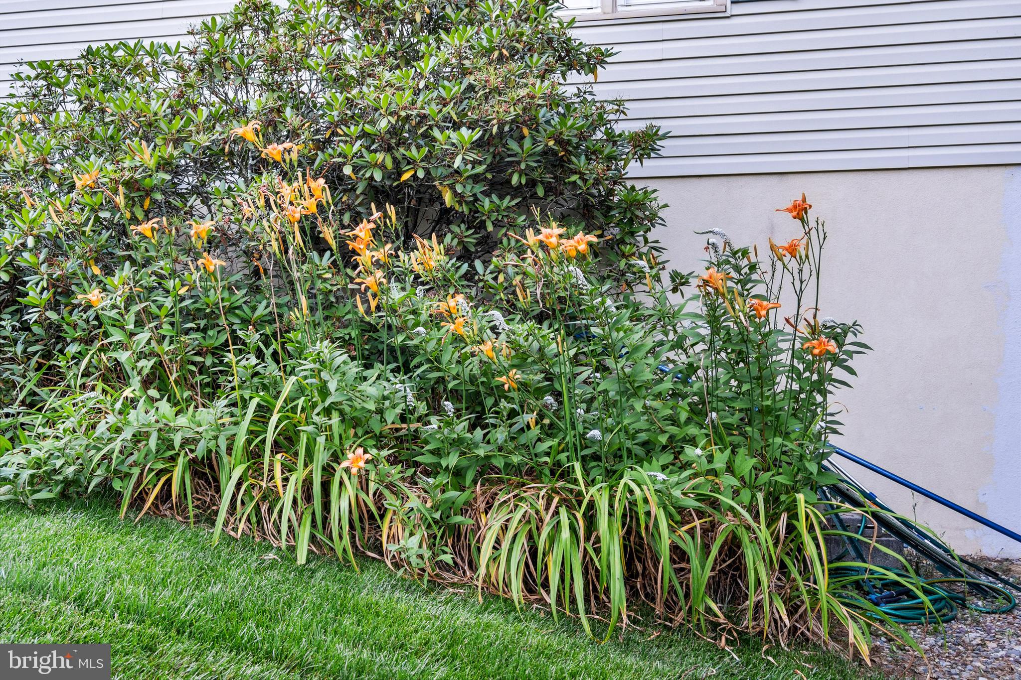 PLUMLY FARMS - Residential