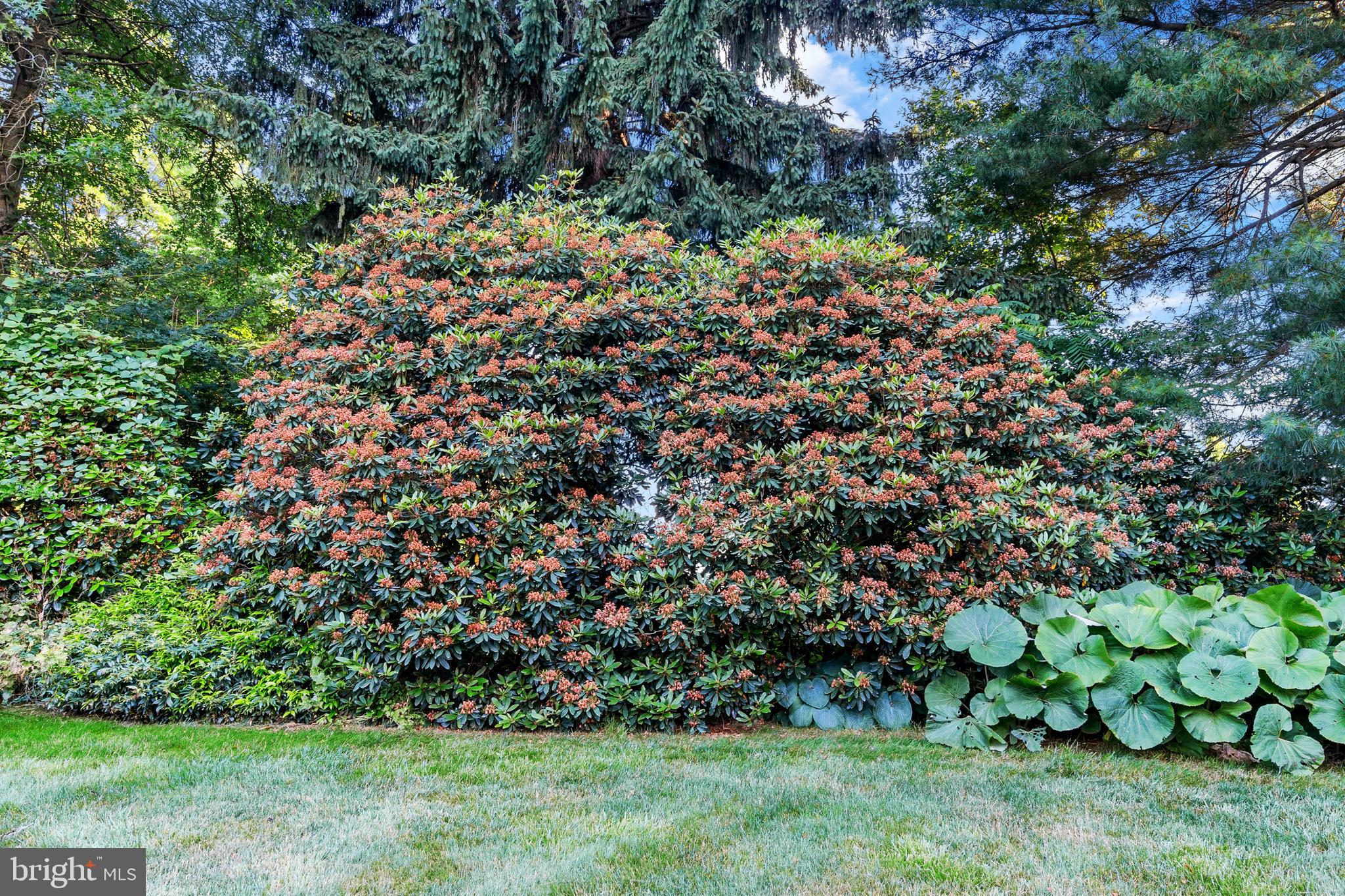 PLUMLY FARMS - Residential