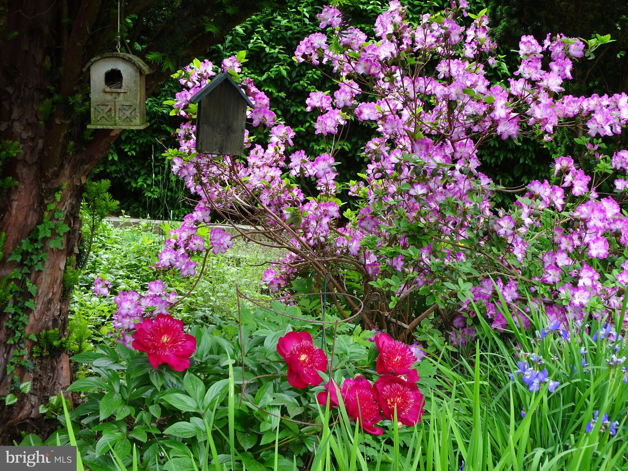 PLUMLY FARMS - Residential