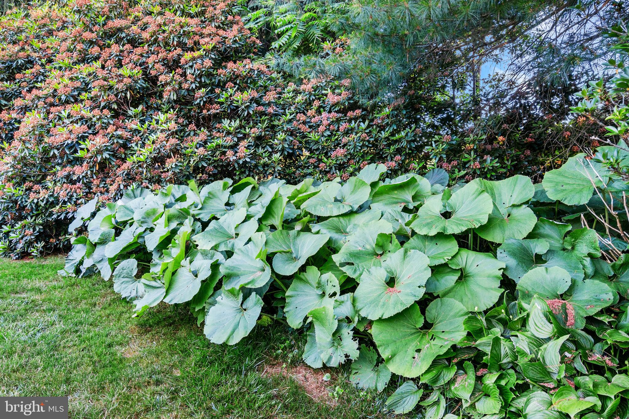 PLUMLY FARMS - Residential