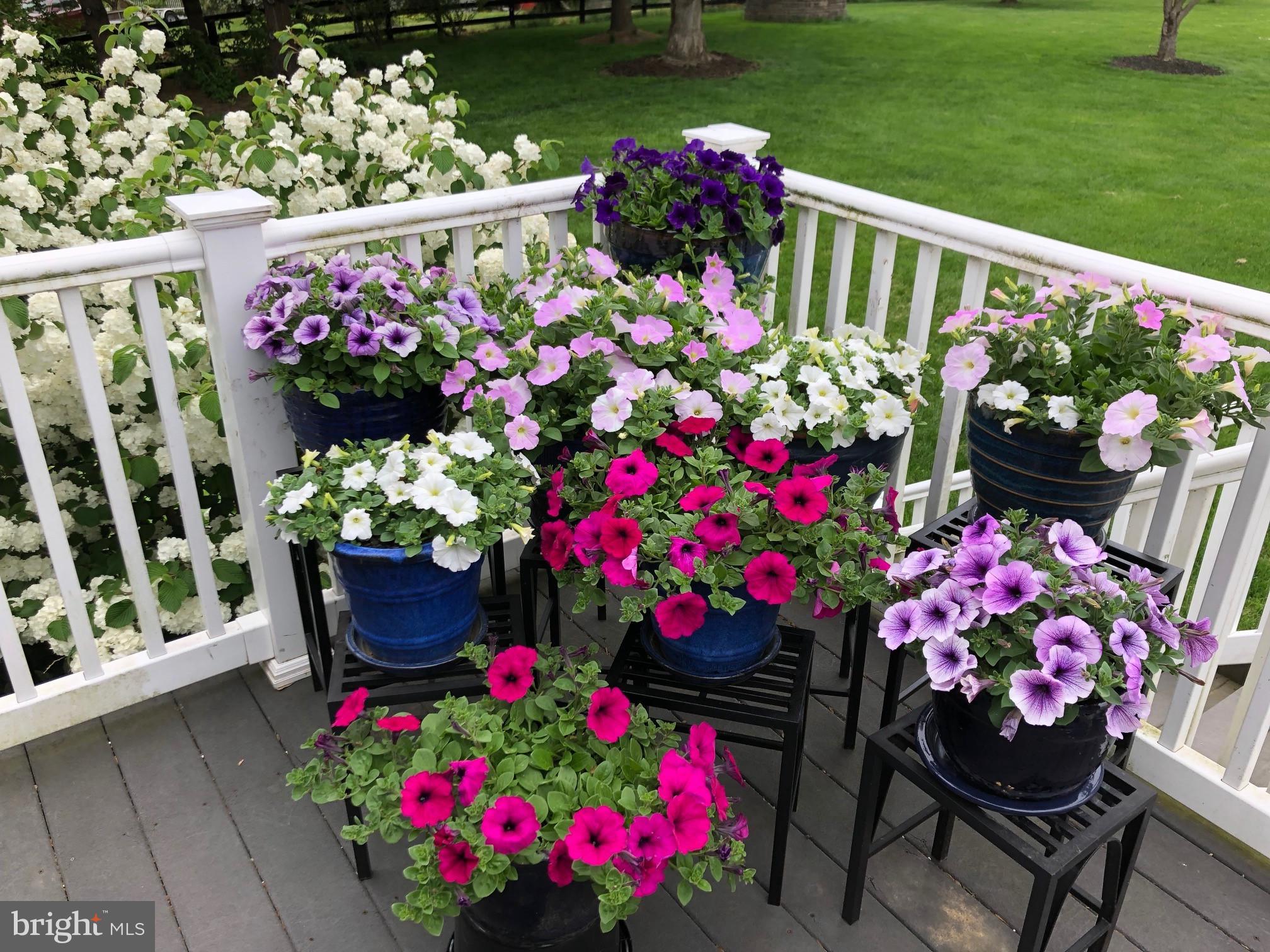 FERGUSON KNOLLS - Residential