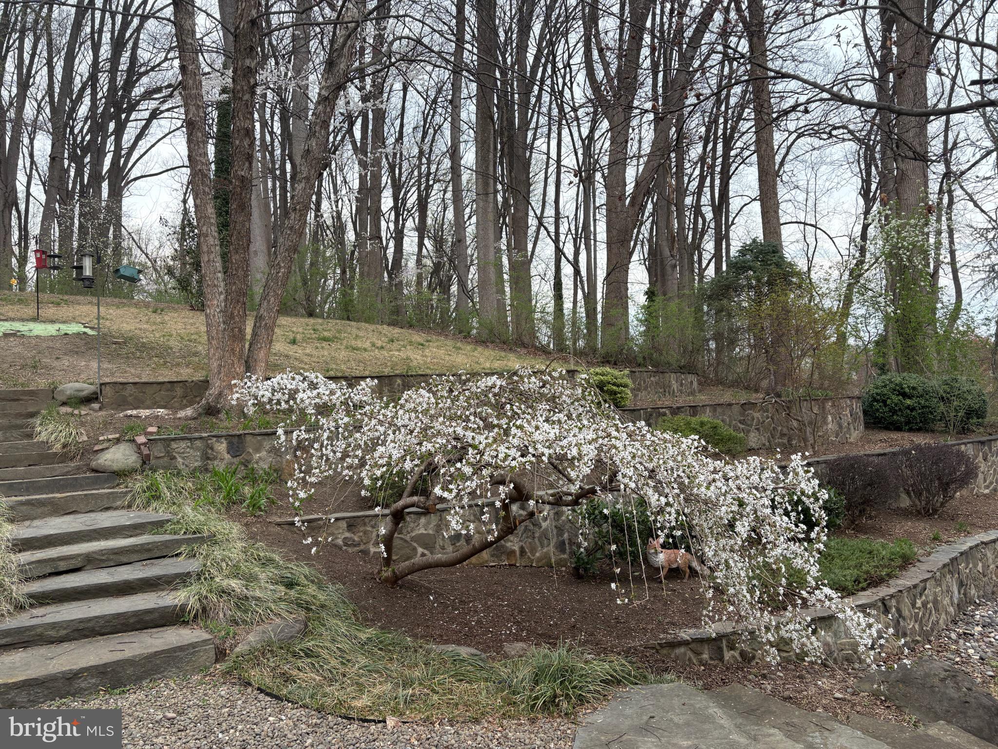 COLLINGTON CLUSTER - Residential