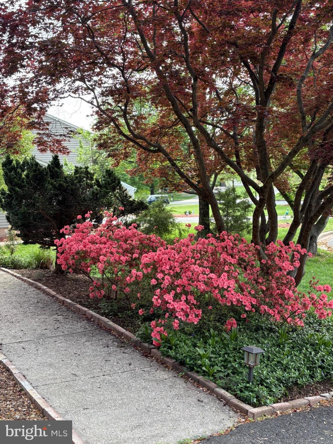 COLLINGTON CLUSTER - Residential