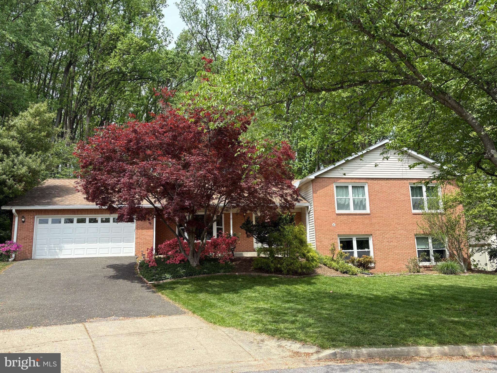 COLLINGTON CLUSTER - Residential