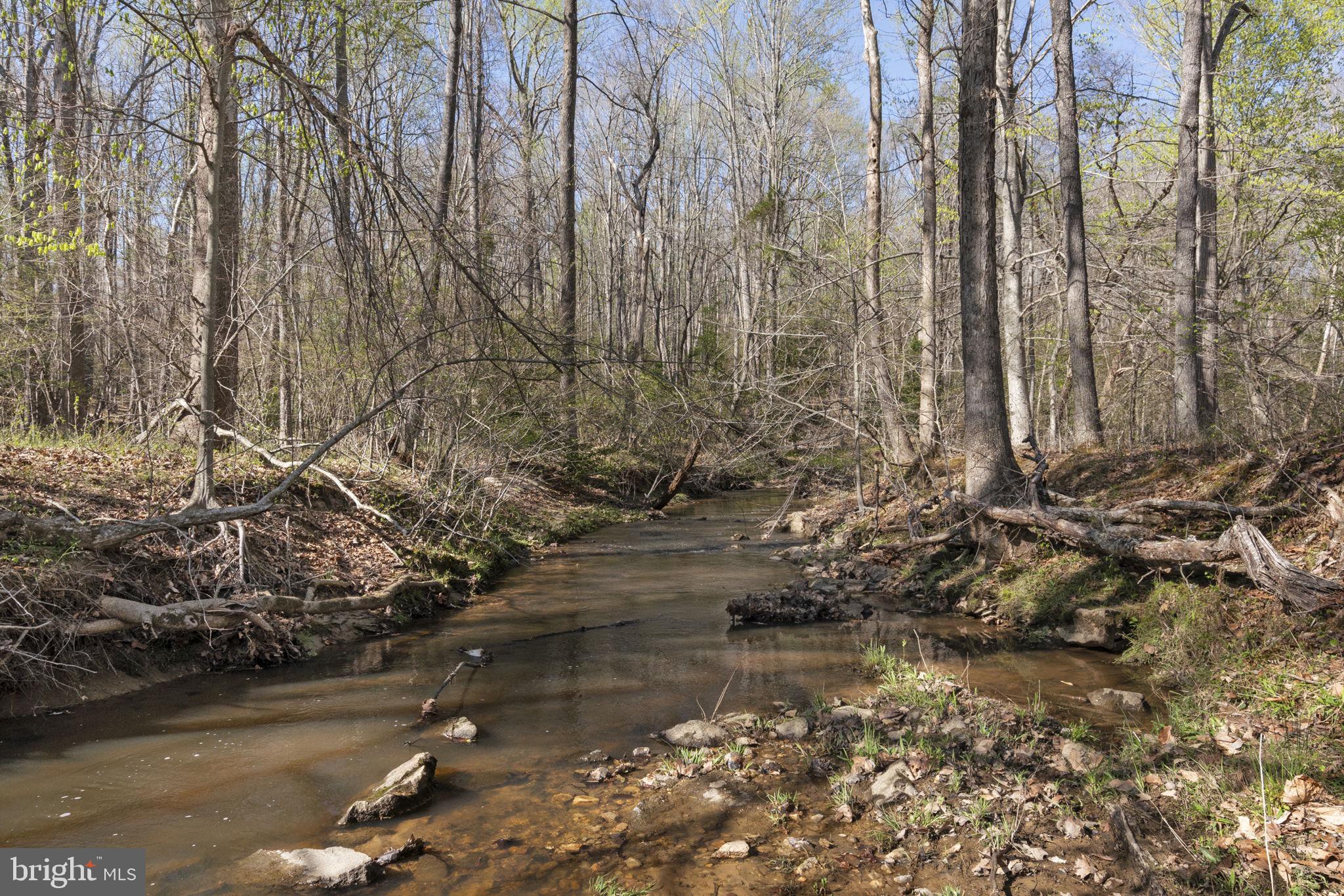 12905 SPOTSWOOD FURNACE ROAD