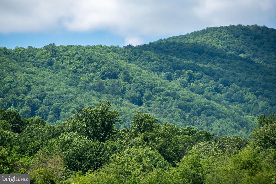 Imagine your own peaceful mountain retreat  located on  106+ V.O.F. conserved acres in  stunning Rappahannock County.    Minutes from the charming town of Flint Hill situated on Peak Lane ;  the stunning drive in will bring you past idyllic pastoral and mountain views, neighboring livestock, and welcome you with the trickling sounds of the Jordan River.  This enchanting acreage is ready for a weekend retreat or full time home.   Homesite approved with 4 bedroom ( 6 person occupancy) perc and well site,  or further up make use of the  2 bedroom perc and off mountain valley views "on the Knob".  This property offers numerous  opportunities to enjoy nature and observe wildlife, photograph, hike, hunt, and explore - even  through your own deeded access into Shenandoah National Park.   Area attractions include  Skyline Drive, Old Rag Mountain, antique shops, wineries,  " Little Washington ", local pubs and eateries , Old Dominion Point to Point races, art galleries and more.  Only  1 .5 hours from D.C. ,  1 hour from Middleburg,  25 minutes to Marshall,  the countryside is calling , come and get away from it all.   Shown by appointment.