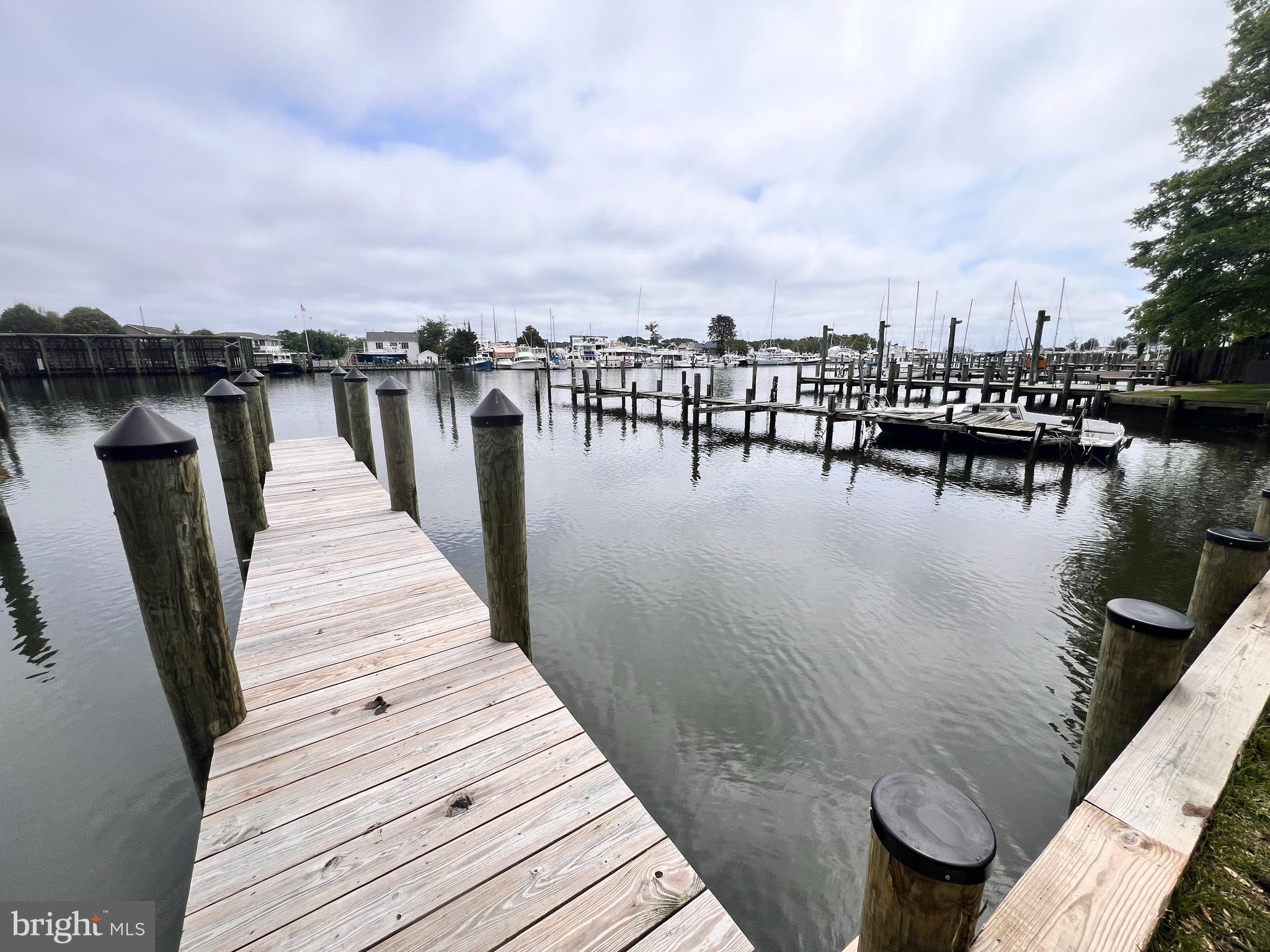 SOLOMONS ISLAND - Land