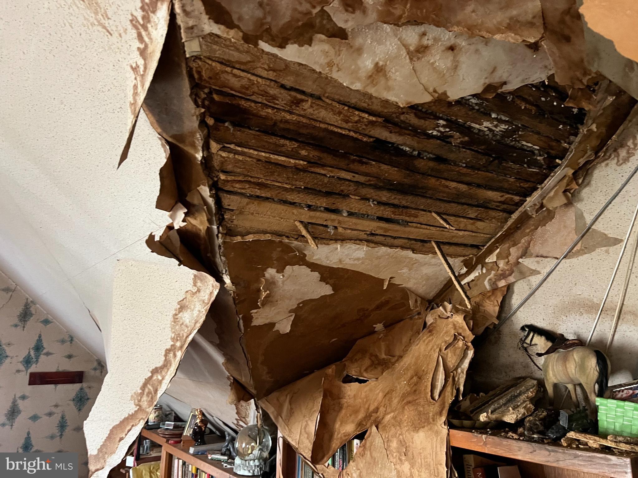 SPRINGDALE - Residential