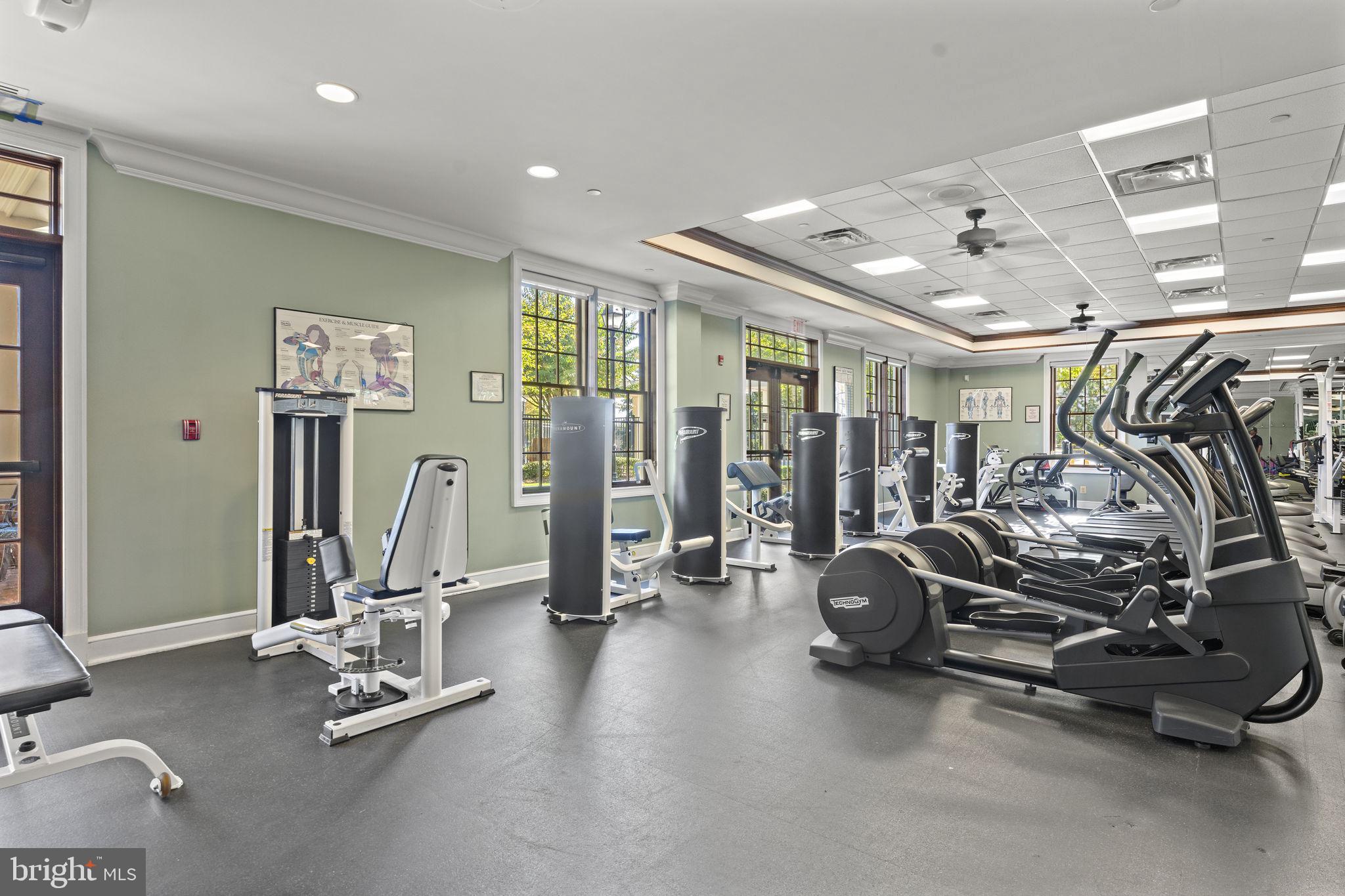 REGENCY AT DOMINION VALLEY - Residential