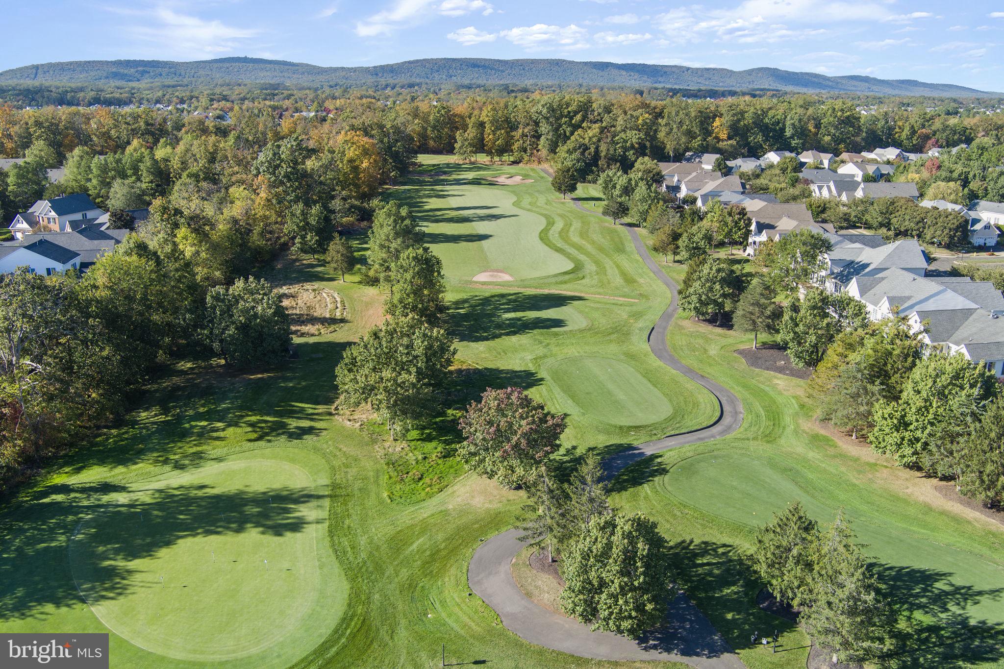 REGENCY AT DOMINION VALLEY - Residential