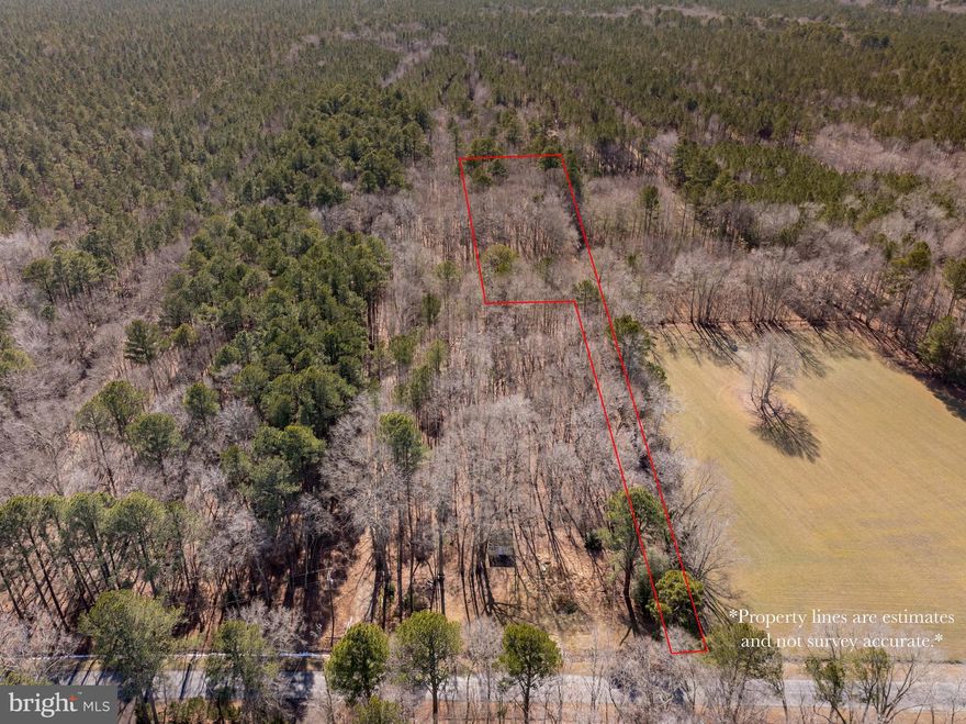 Looking for a private setting surrounded by beautiful woods and mature trees? This nearly 3.5-acre lot, tucked away on the quiet backroads of Somerset County, offers peaceful seclusion and natural beauty. Fully wooded and hidden from the hustle and bustle, you won't be disappointed. You'll enjoy the serenity of country living while still being a short drive to both Somerset County and neighboring Wicomico County for shopping and everyday conveniences. Please note the land has not been perc tested. Buyers are encouraged to perform their own due diligence regarding property lines and intended use. A driveway easement is currently being recorded.