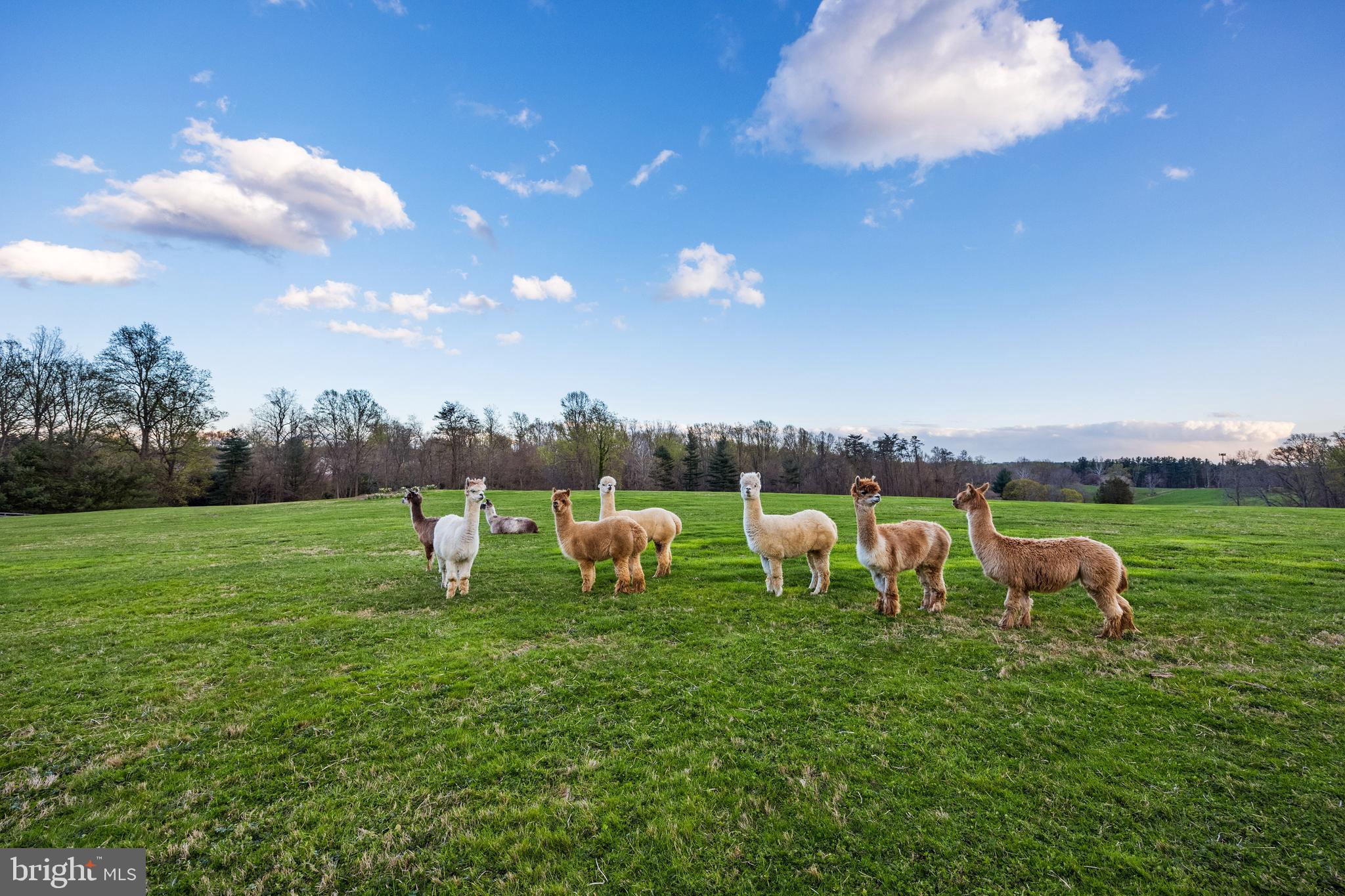 MONKTON - Residential