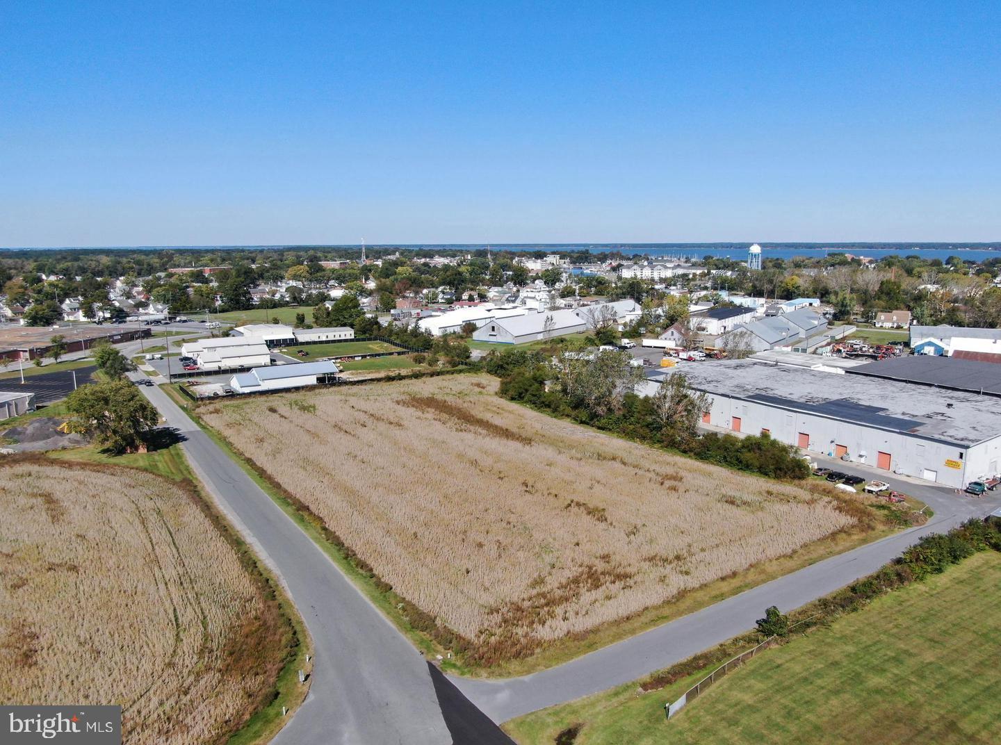 GOODWILL AVENUE