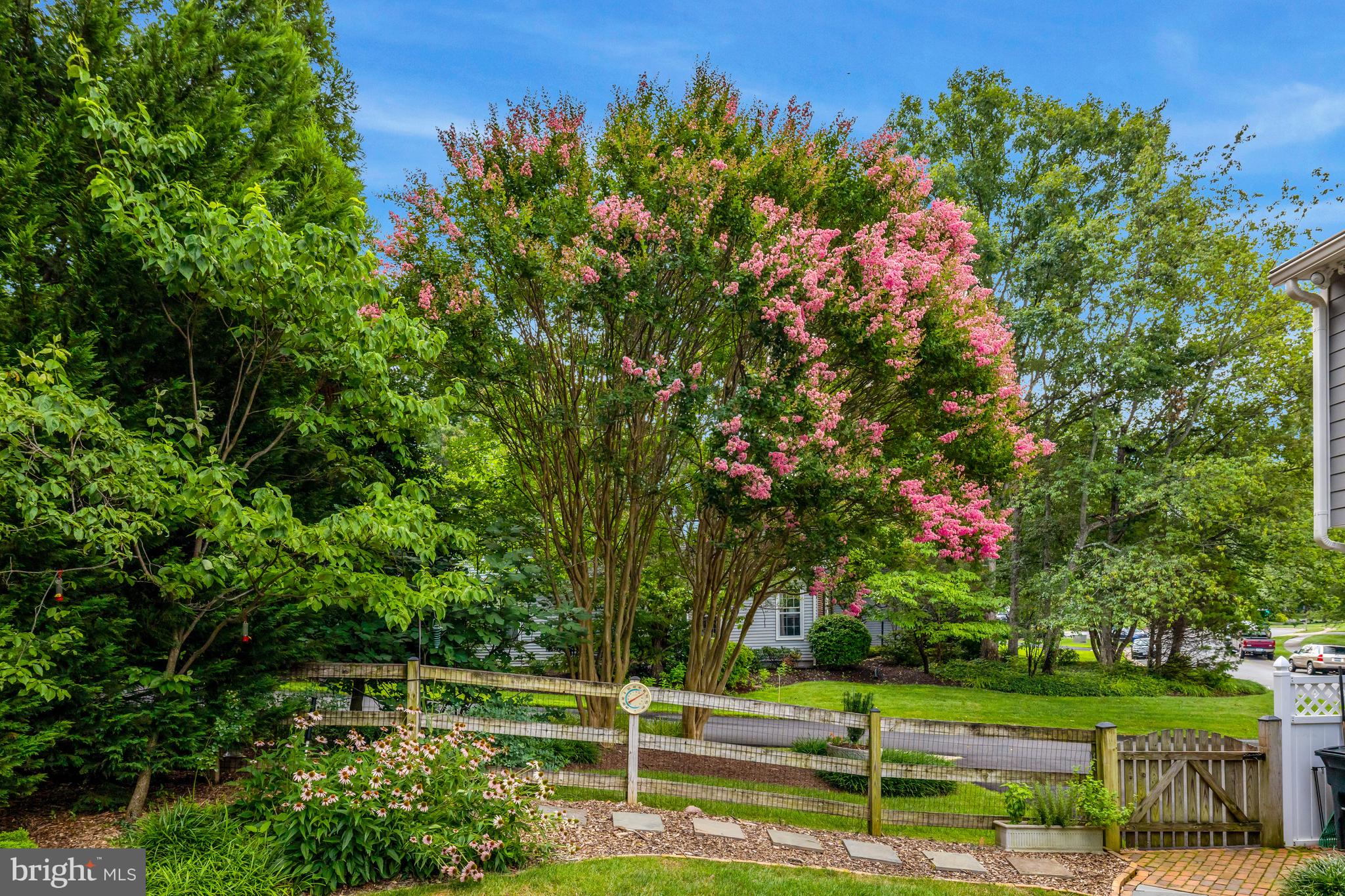 STILL OAKS - Residential