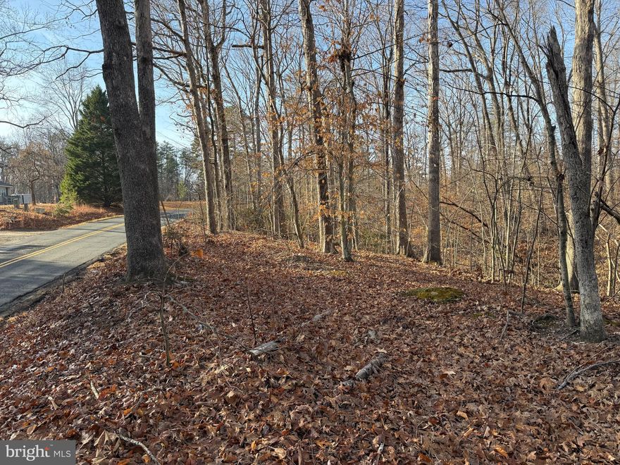 This buildable, .94-acre wooded lot in the Stubbs Overlook presents a unique opportunity for builders, investors, or future home owners. With access to a community common area and boat ramp on the public side of Lake Anna, this property offers immediate enjoyment of boating, fishing, and other lakeside recreation! Just minutes away from The Cove at Lake Anna and nearby to breweries, grocery, vet, hardware, etc. Centrally located with convenient access to NOVA, Charlottesville, Richmond, Culpeper, and Fredericksburg.