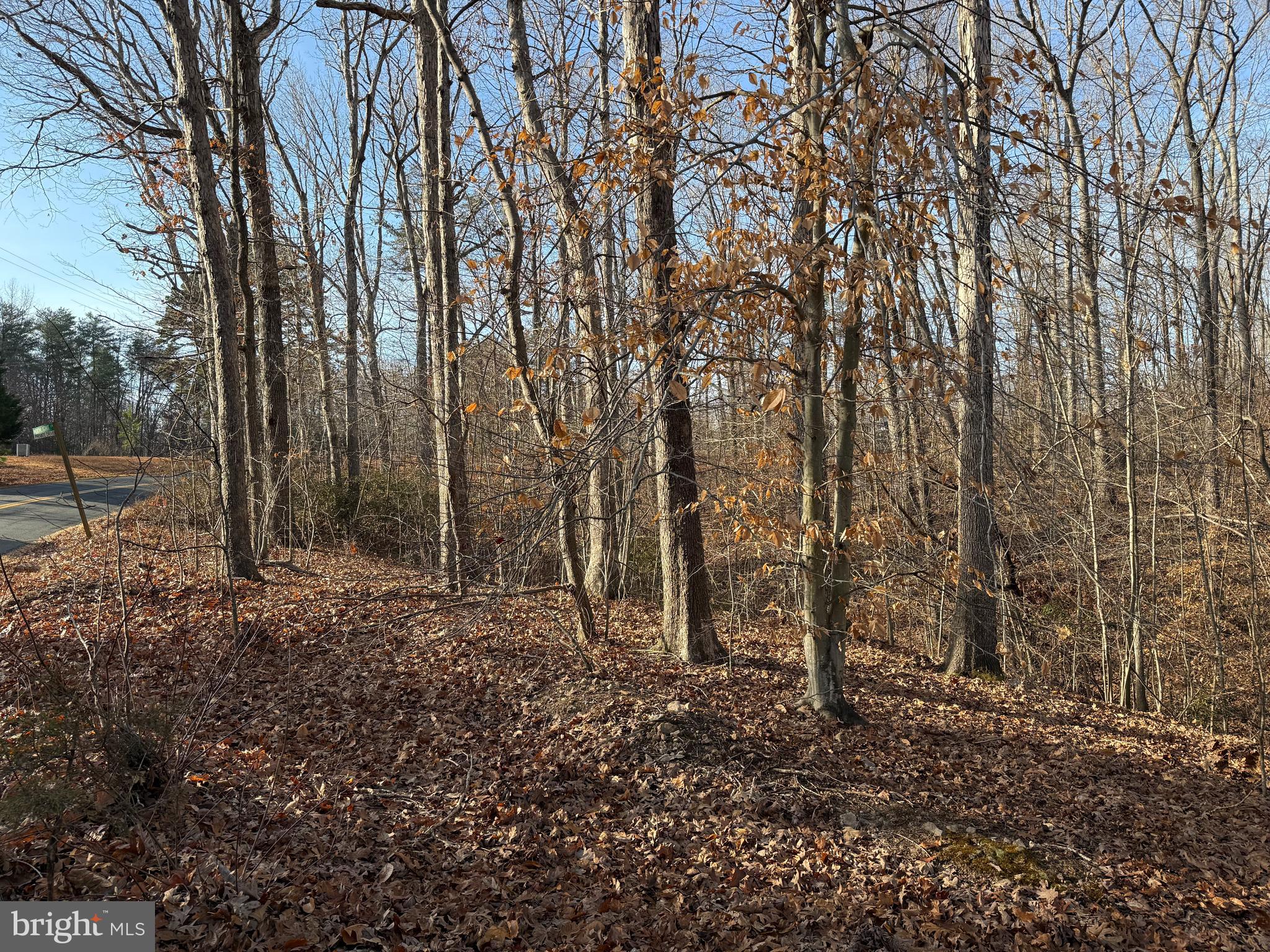 6002 STUBBS BRIDGE ROAD