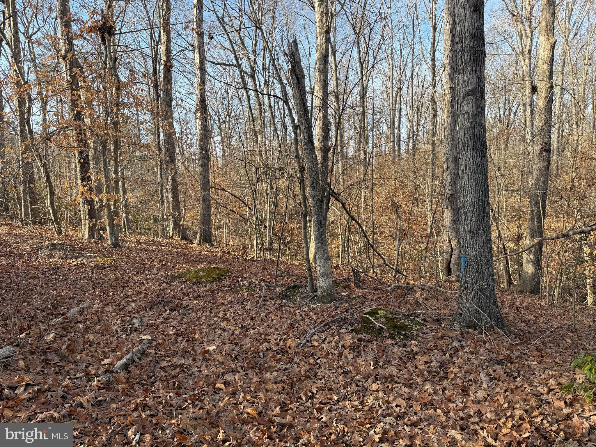 6002 STUBBS BRIDGE ROAD