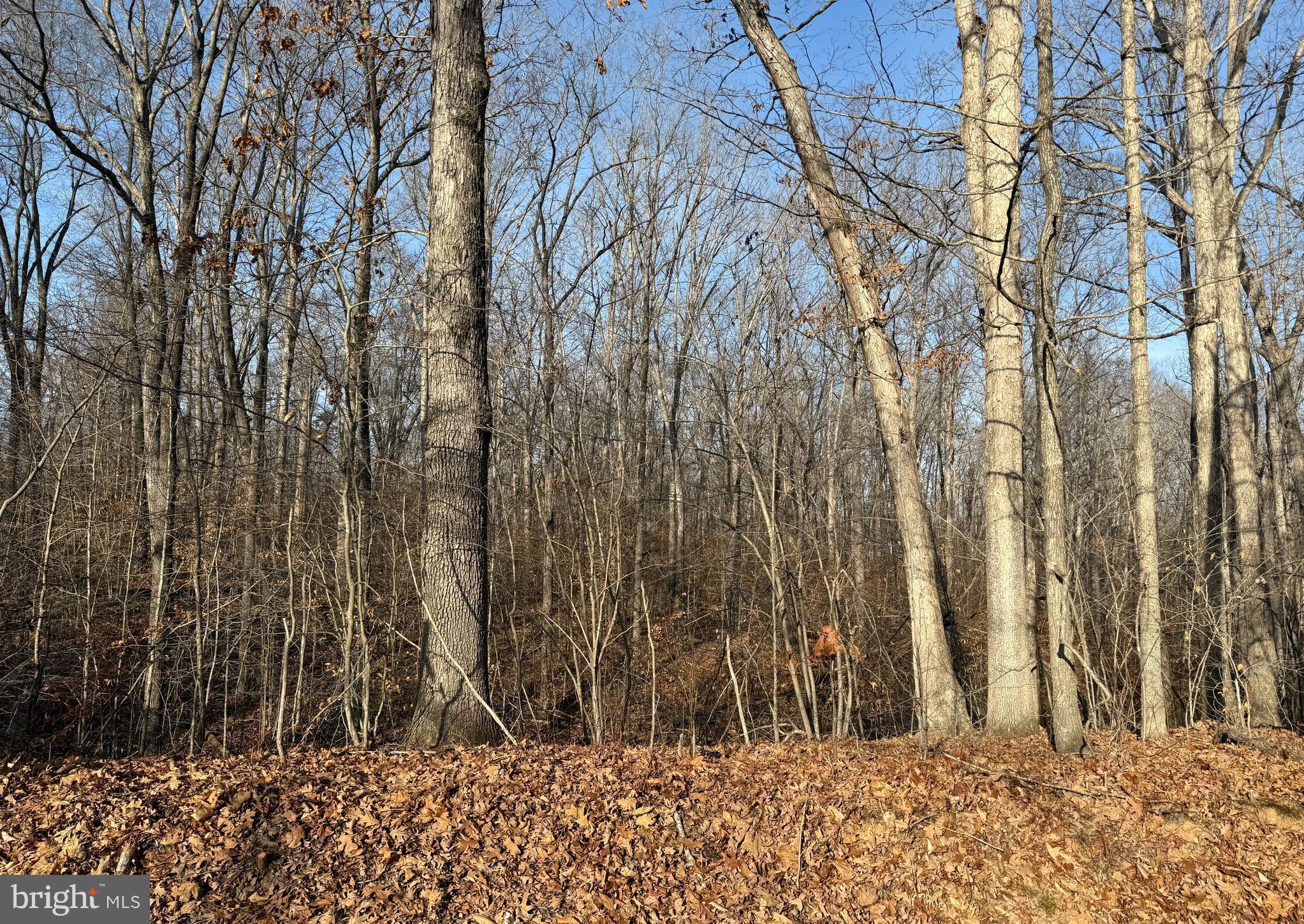 6002 STUBBS BRIDGE ROAD