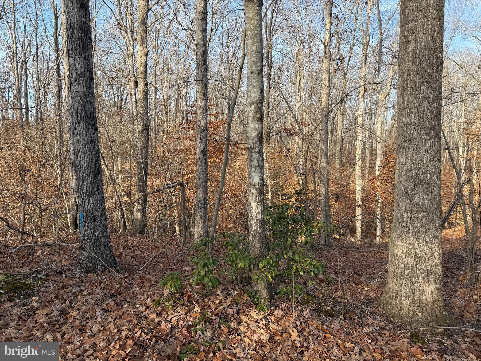 STUBBS OVERLOOK - Land